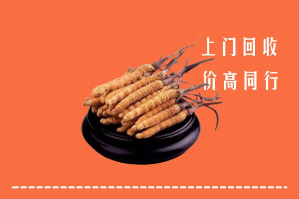 高价求购：吉木乃县回收散虫草