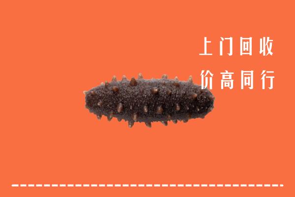高价求购：吉木乃县回收海参