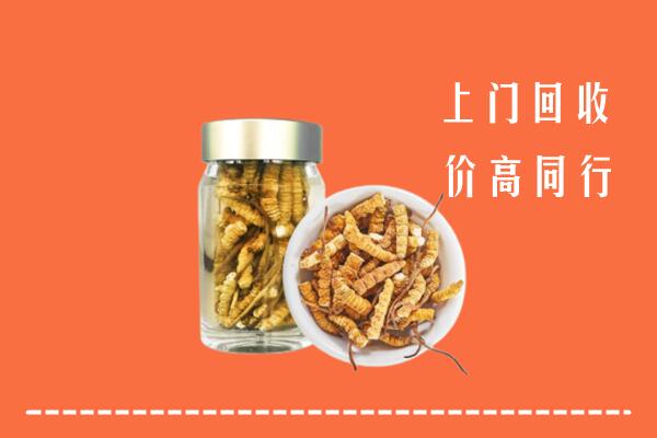 吉木乃县回收冬虫夏草